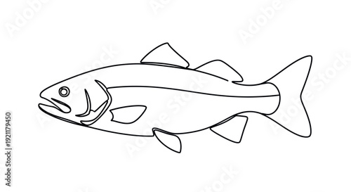 Simple line drawing of a salmon fish, isolated on white background