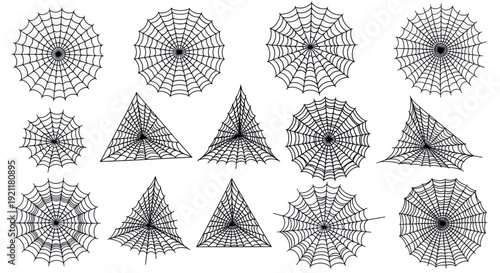 Collection of Hand-Drawn Spider Webs and Silken Traps