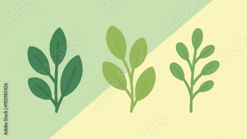 A simple leaf illustration evoking fresh spring foliage. Spring. Summer.