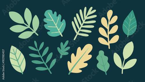 A simple leaf illustration evoking fresh spring foliage. Spring. Summer.