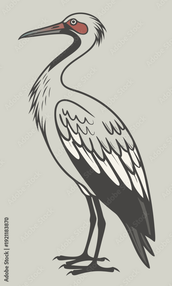 Fototapeta premium Elegant White Crane Bird Standing Tall Illustration.