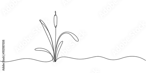 Cattail wetland plant outline, continuous one line drawing, Cattail Silhouette Vector Illustration Wetland Plant Nature Graphic Design, silhouette with cattails, vector illustration.