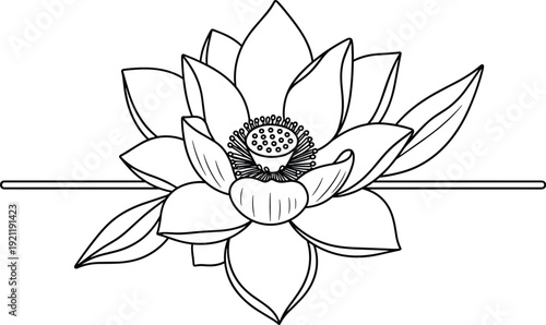 Elegant lotus flower line art vector illustration featuring blooming petals and leaves for wellness spa yoga meditation beauty and floral design projects.