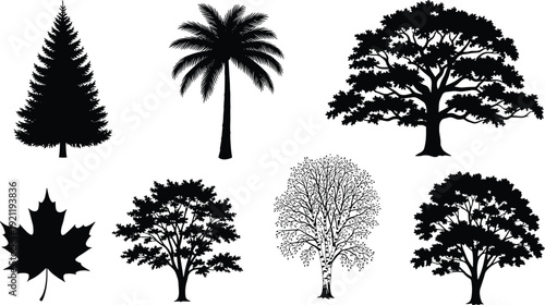 Set of black tree silhouettes including pine palm oak maple and birch icons isolated on white background for nature landscape design and botanical graphics