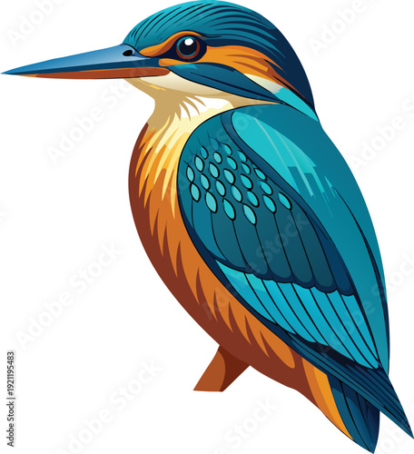 Vibrant Kingfisher Bird Illustration in Blue and Orange Colors