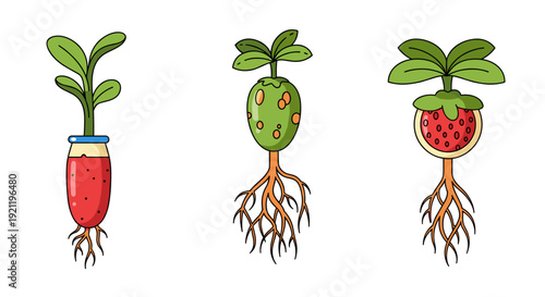 A vibrant illustration depicting the fascinating growth stages of various plants, showcasing their intricate root systems and emerging green shoots.
