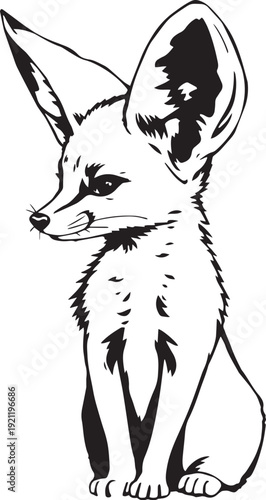 Fennec fox. Hand drawn vector illustration