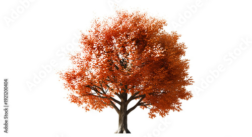 Fotografia An artistic autumn tree illustration featuring orange leaves and seasonal foliag
