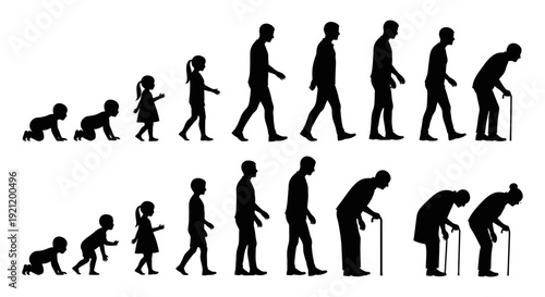 human life cycle silhouettes depicting the aging process from infancy to old age showing growth development and the passage of time.