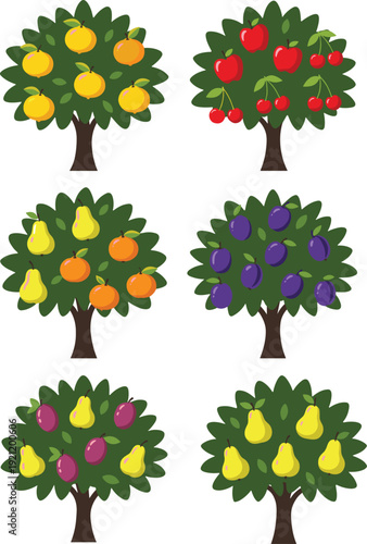 Stylized fruit tree illustration set featuring oranges, cherries, pears, and plums, perfect for agriculture, education, nutrition, environment, and botanical design projects