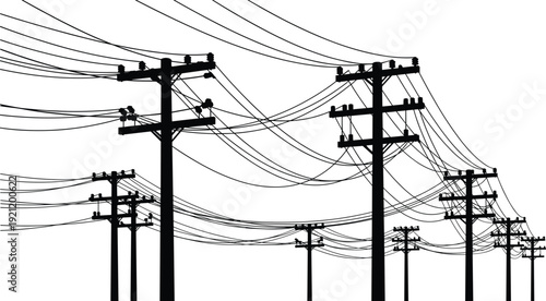Utility poles with multiple crossarms, intricate power lines network, perspective depth view, perched birds on wires, industrial infrastructure scene, vector illustration design
