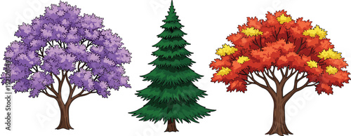 Collection of colorful seasonal trees including purple blossom, green pine and red autumn foliage isolated on white background nature vector illustration set