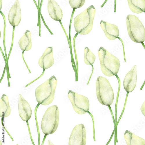 Seamless pattern of white tulips