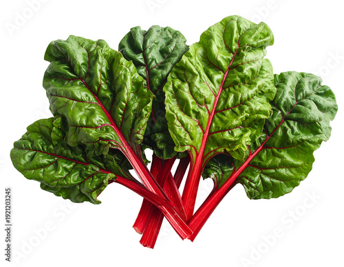 Fresh bunch of vibrant red chard leaves healthy and organic.