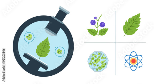 A vibrant illustration set showcasing botanical research, microscopic views of plant cells, and the atomic structure of matter, perfect for educational and scientific content.