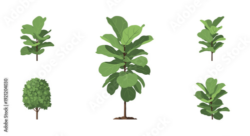 A collection of stylized green fiddle leaf fig trees and a single topiary, perfect for architectural renderings and digital design projects on a clean white background.