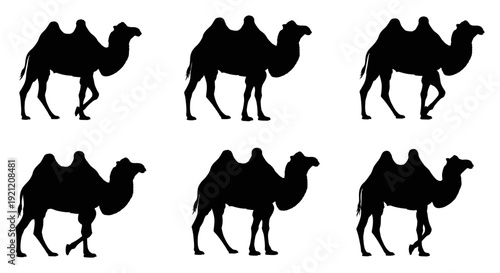 multiple dromedary camel silhouettes walking on a white background symbolizing desert travel endurance and ancient journeys.