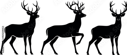 Three deer silhouettes with antlers on white background