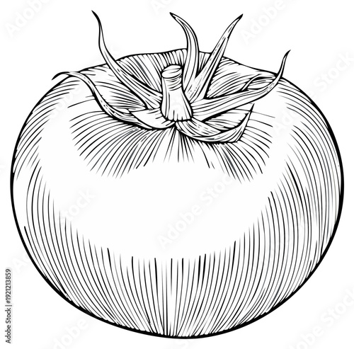Detailed black and white line drawing of a ripe tomato with its stem and leaves