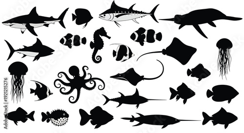  Collection of Black Silhouettes of Various Fish Species black and white variety vector illustration