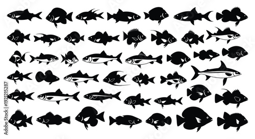  Collection of Black Silhouettes of Various Fish Species black and white variety vector illustration