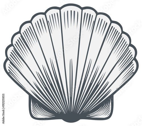 Detailed line art illustration of an open scallop seashell with radiating lines and a textured hinge