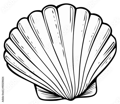 Line Art Scallop Shell Illustration, Coastal Seashell Outline Graphic, Elegant Ocean Icon, Beach Element Clip Art