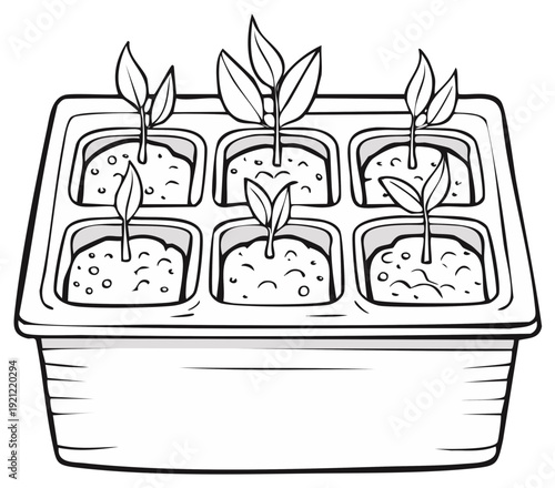 Six young seedlings sprouting in a germination tray with soil representing new beginnings and growth