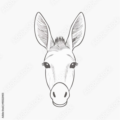 Donkey head illustration, hand-drawn sketch of a cute donkey's face