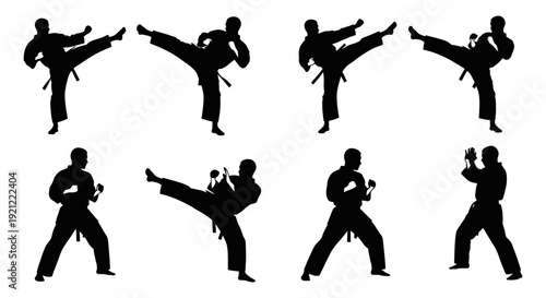 dynamic silhouettes of male karate artists demonstrating powerful kicks and stances illustrating self-defense and combat sports.
