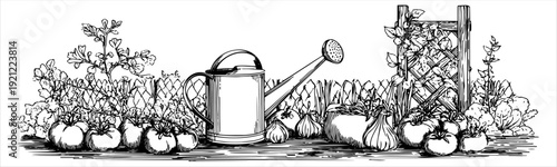 A detailed horizontal black ink drawing of a home garden. Composition featuring a classic watering can, ripe tomatoes, onions, wooden fence, and climbing plants for organic farming concepts.