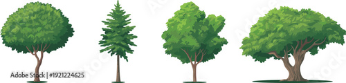Green tree collection vector illustration, deciduous and pine trees isolated on white background, natural forest landscape set