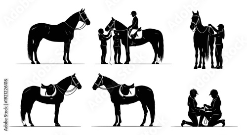 equestrian silhouettes collection showcasing horse riding preparation and care perfect for sports and hobby graphic design elements.