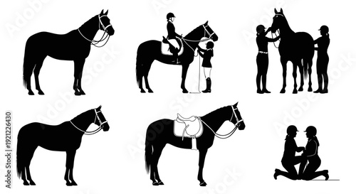 equestrian silhouettes showing horse riding care and training with riders and horses vector art for equestrian sports themes.