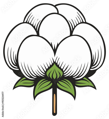 Stylized Cotton Boll Illustration Isolated on White