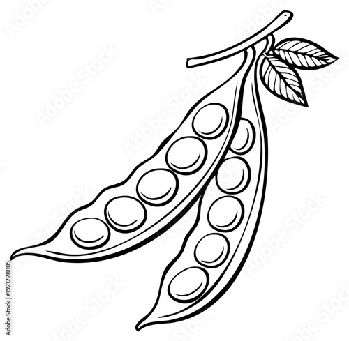 Black and white illustration of open pea pods with peas and leaves