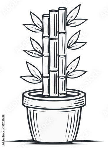 Potted bamboo plant illustration in a simple drawing style