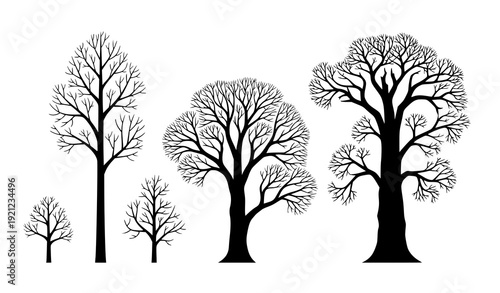 Leafless Dead Trees Vector Silhouette on White Background for Nature and Seasonal Illustrations