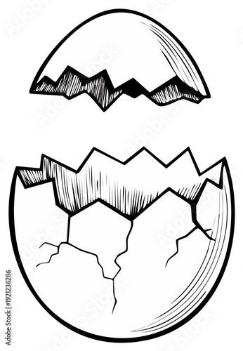 Hatched Egg Illustration: Sketchy Cracked Eggshell Concept