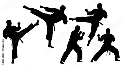 karate martial arts silhouettes performing dynamic combat poses powerful kicks and precise punches isolated on a pure white background embodying strength and discipline.