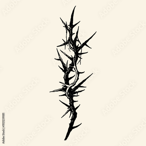 Thorny Branch Ink Drawing with Sharp Spikes