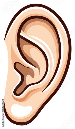 Close-up illustrative ear with stylized shading and bold outlines