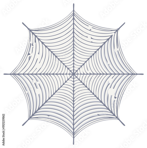 Intricate Cobweb Pattern Isolated on White