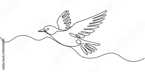 Small bird in continuous one line drawing. Single line art illustration of flying bird. Editable vector, continuous one line drawing. One line drawing illustration of colibri. Flying animal concept