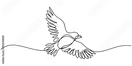 Small bird in continuous one line drawing. Single line art illustration of flying bird. Editable vector, continuous one line drawing. One line drawing illustration of colibri. Flying animal concept