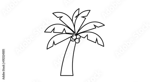 Simple line drawing of a palm tree with coconuts on a plain background