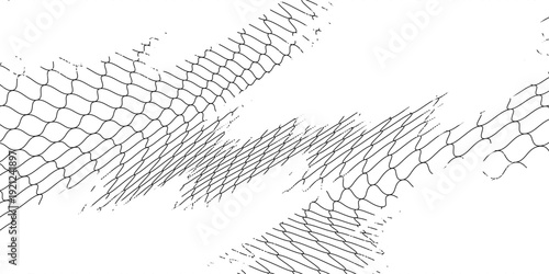 Black snake skin pattern isolated on white background eps 10