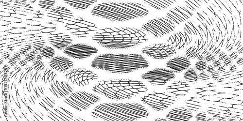 Black snake skin pattern isolated on white background eps 10