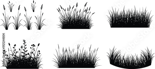Meadow grass and wildflower silhouettes collection set, natural field plants isolated for landscape design, flat vector illustration