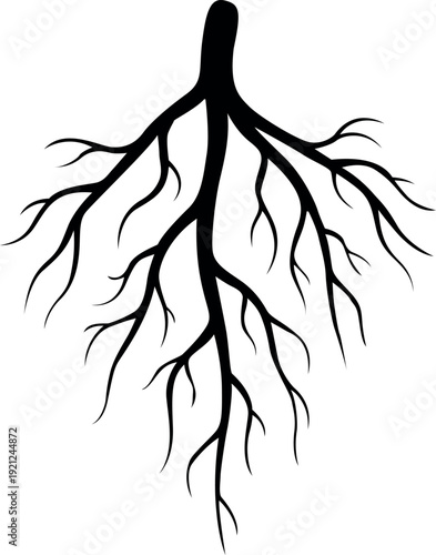 Simple black and white illustration of plant roots on a white background